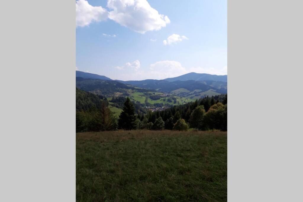Horska Turistika S Domaci Atmosferou Appartement Dolny Kubin Buitenkant foto
